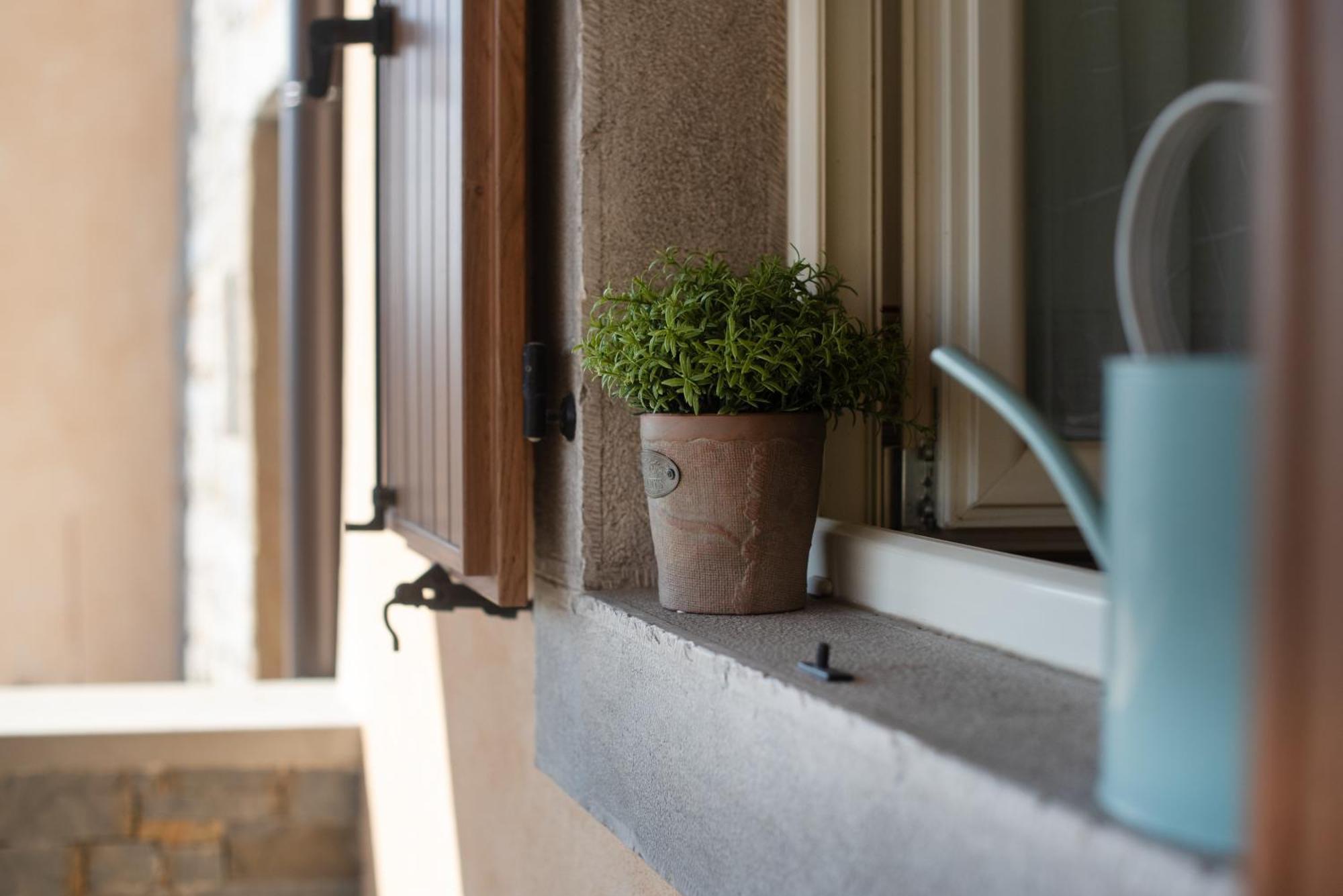 Truffle House Karlic Apartment Buzet Exterior photo
